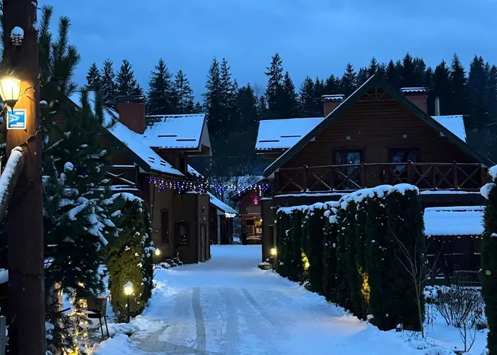 Готель Близнюки